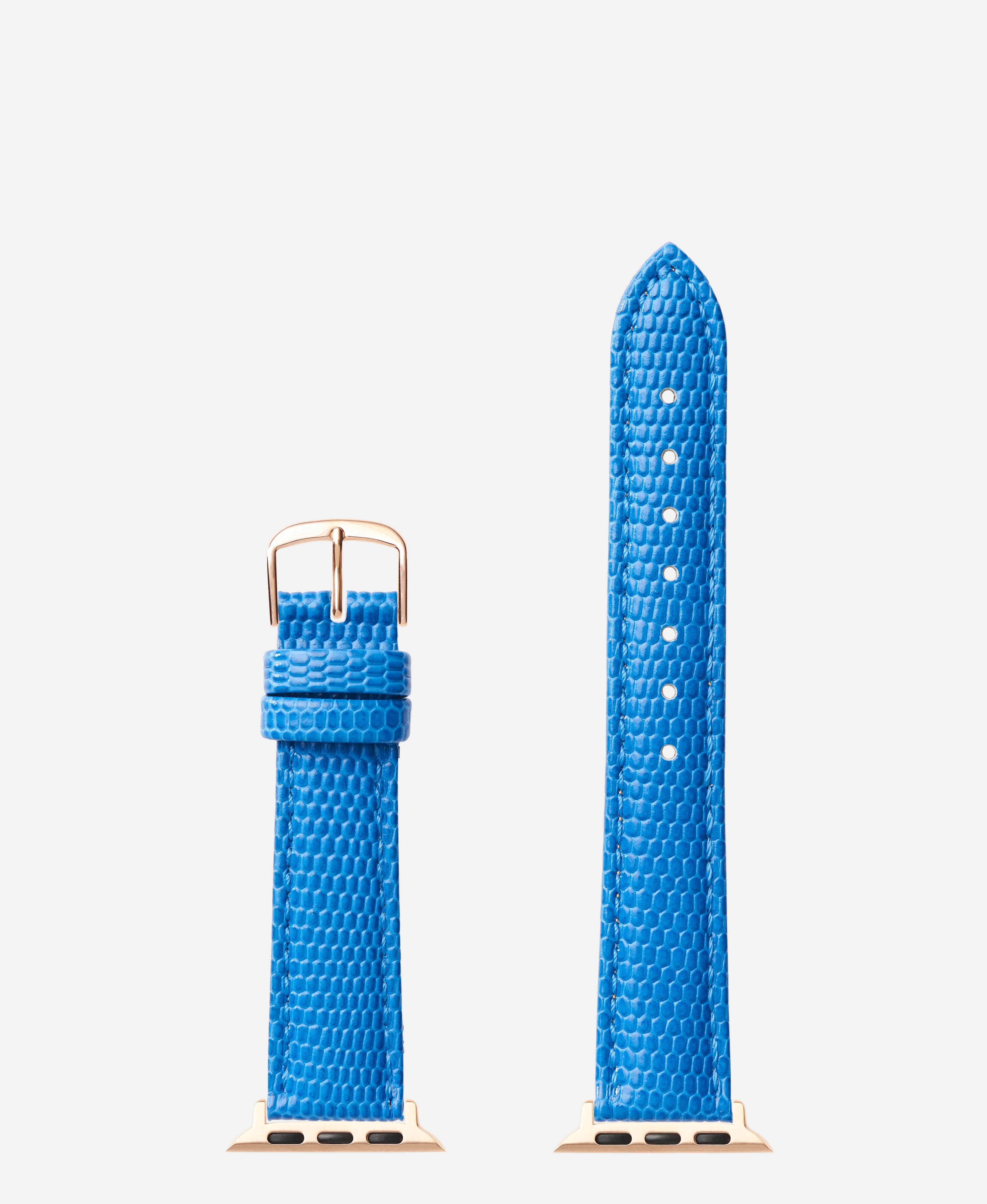 Blue Lizard Grain | h0725 - Image 4