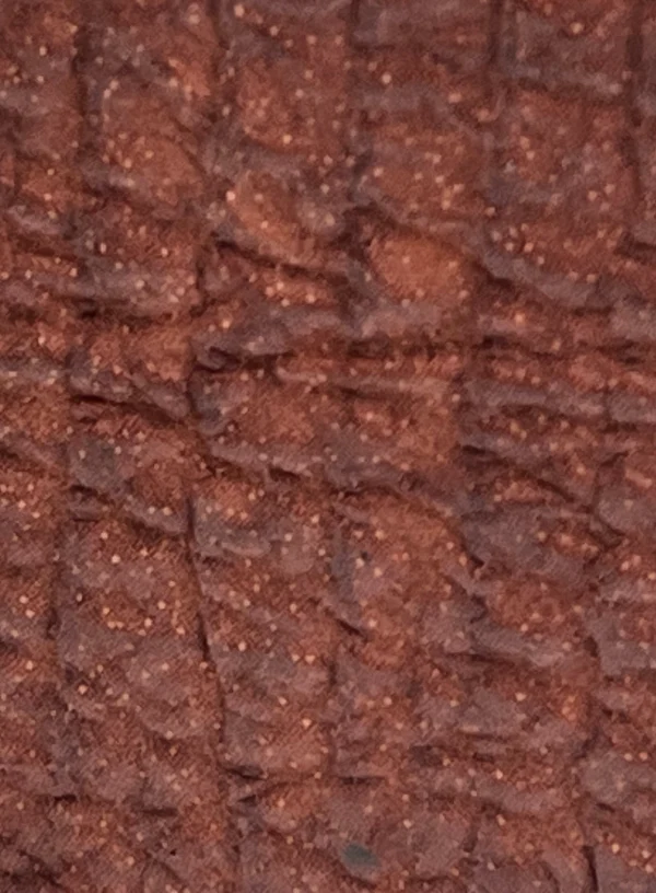 Cognac Genuine Shark Wallet | BPW7685 - Image 3